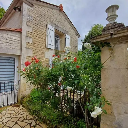 Les Vieux Platanes Rouillac (Charente)