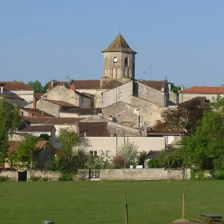 Les Vieux Platanes *