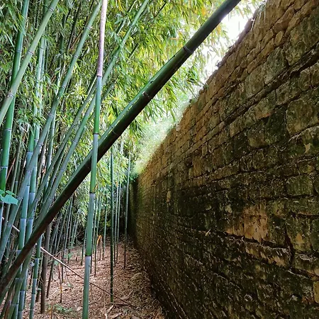 Lägenhet Les Vieux Platanes Rouillac (Charente)