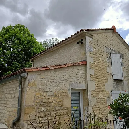 Les Vieux Platanes *